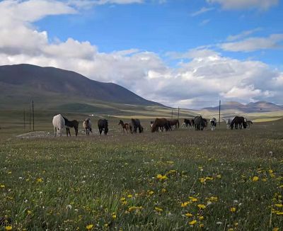 ɽ���ʱ��    ����ȥ����