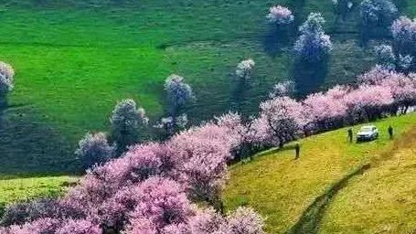 ����ʱ��